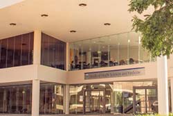 international students walking on campus grounds